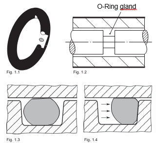 O Rings - an overview